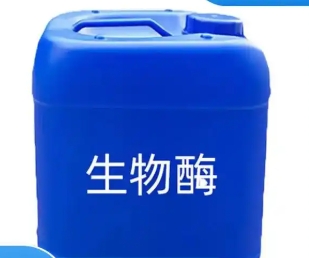 酶制剂检测