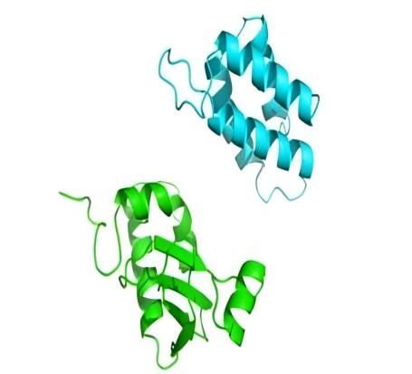分子模拟